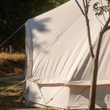 Nomad Pop-up 알제주르