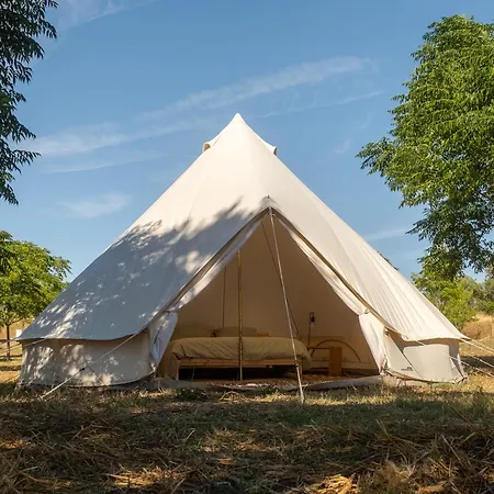 Nomad Pop-up Kamp alanı *