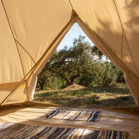 Nomad Pop-up *